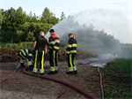 Prio 2 Berm Ruigte Brand De Miedwei Twijzel